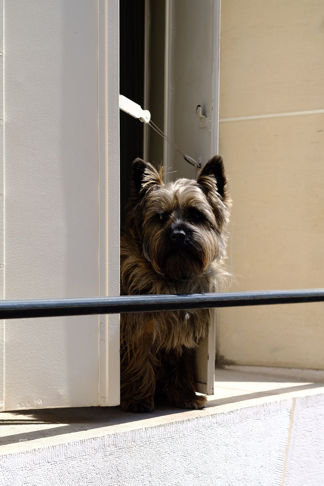 Fujifilm X-T20 sample photo. Untitled photography