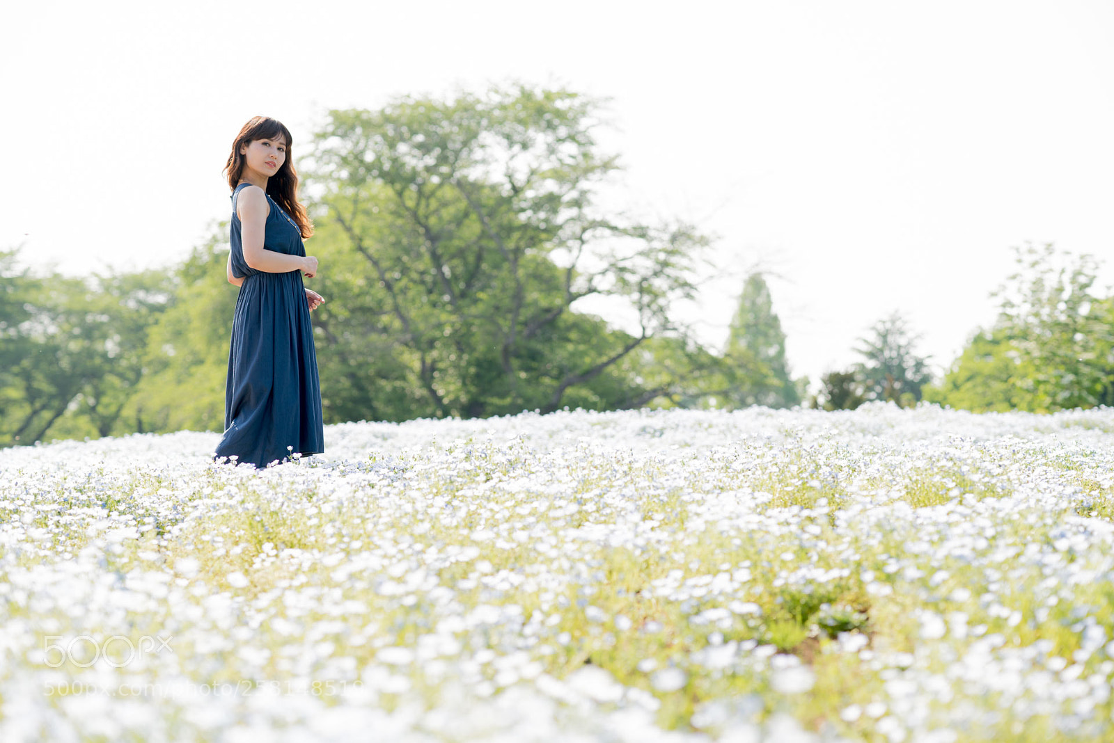 Sony a7R III sample photo. 20180516-1 photography
