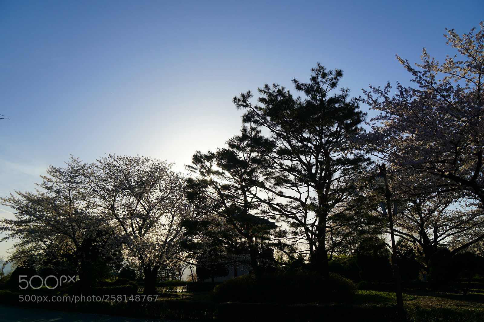 Sony a6000 sample photo. Untitled photography