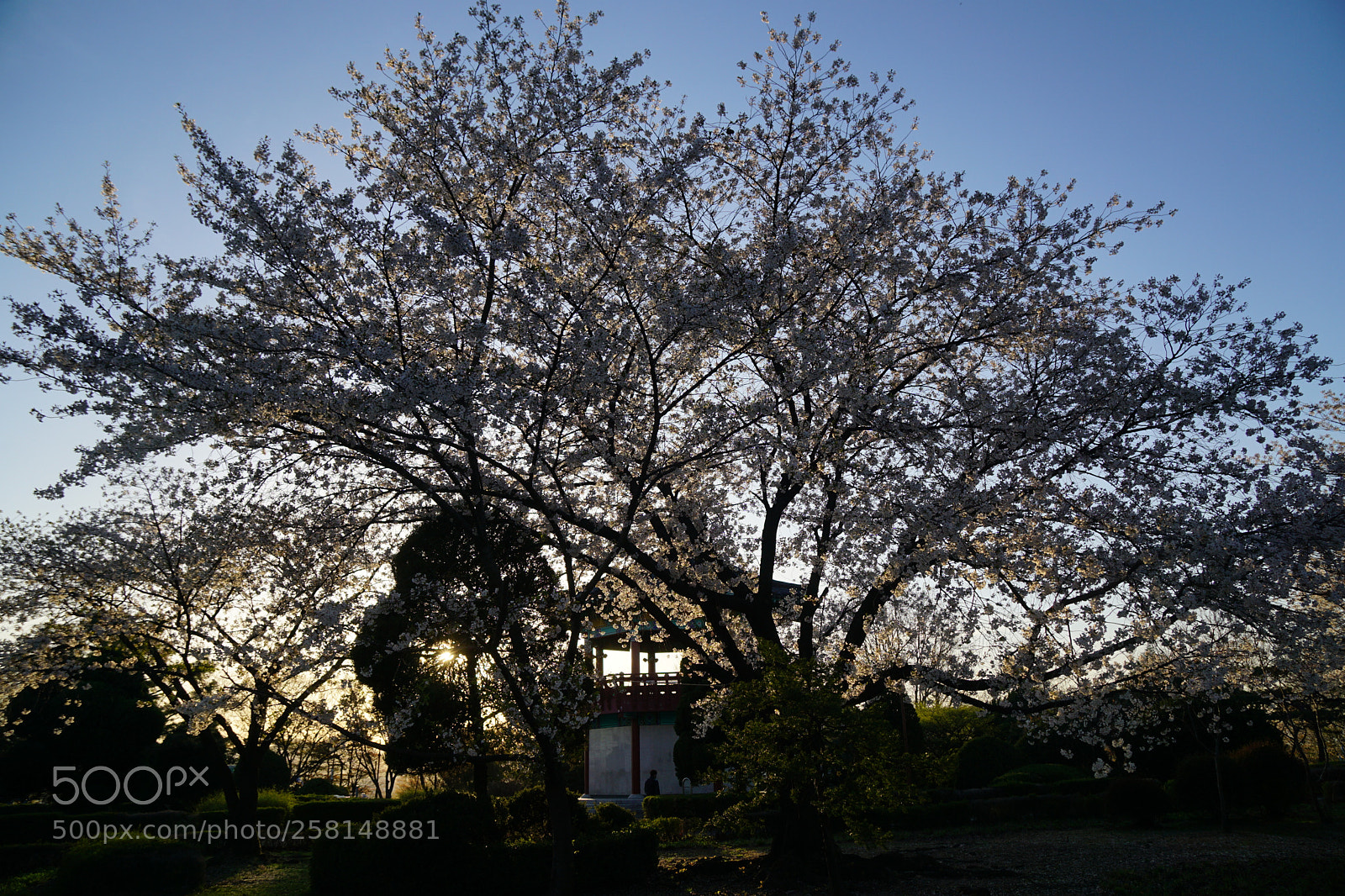 Sony a6000 sample photo. Untitled photography