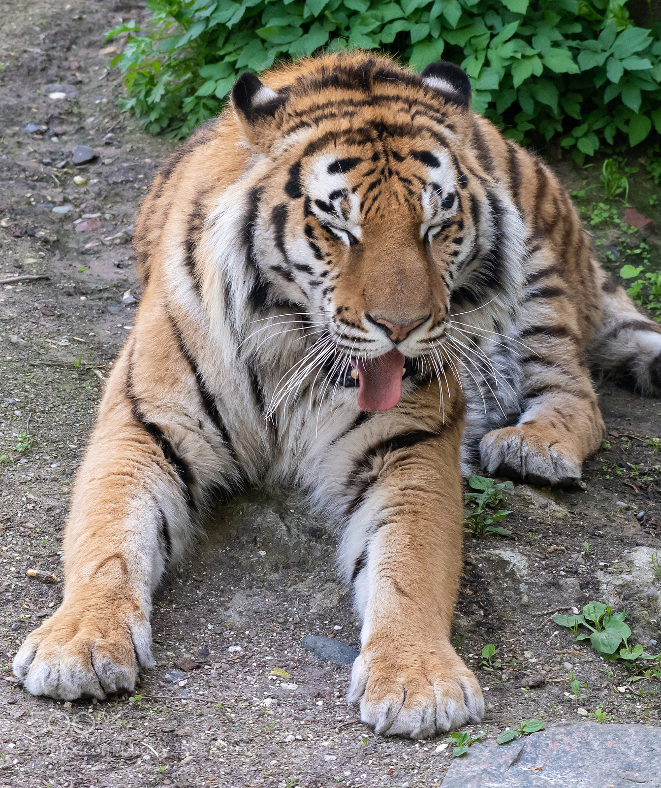 Nikon D810 sample photo. Ew photography