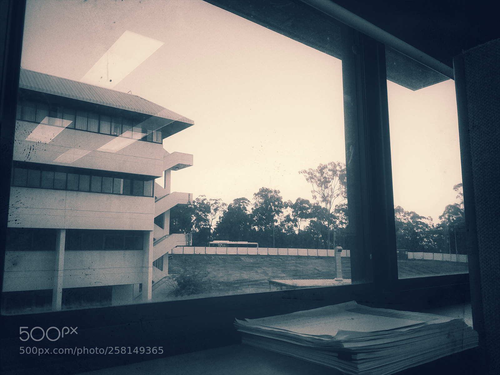 OnePlus 5T sample photo. Untitled photography