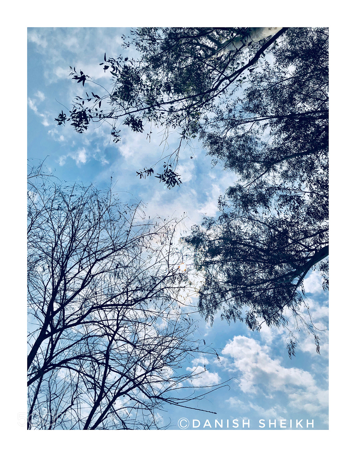 Apple iPhone X sample photo. Untitled photography
