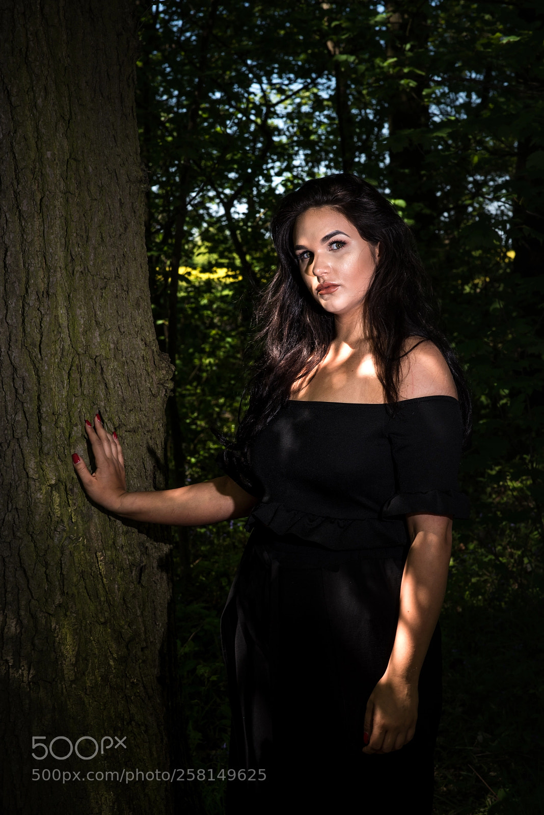 Nikon D750 sample photo. Summer woodland walk photography