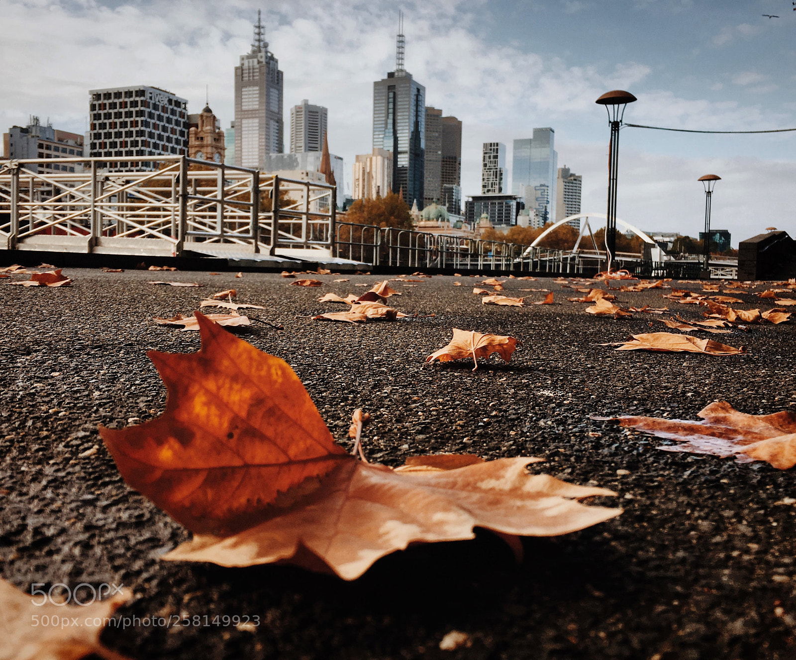 Apple iPhone 6s sample photo. Autumn in the city.... photography