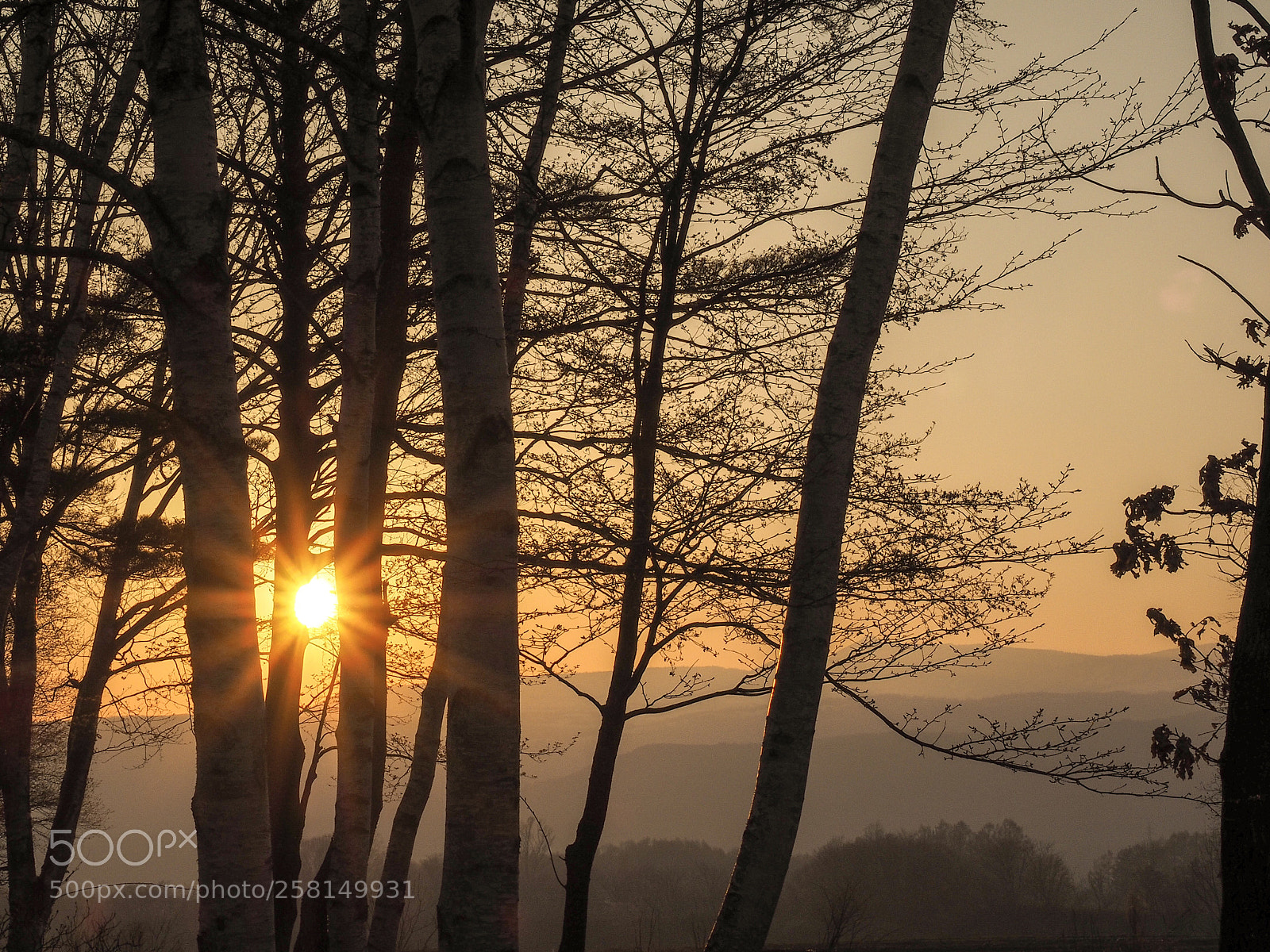 Olympus OM-D E-M1 sample photo. Twilight photography