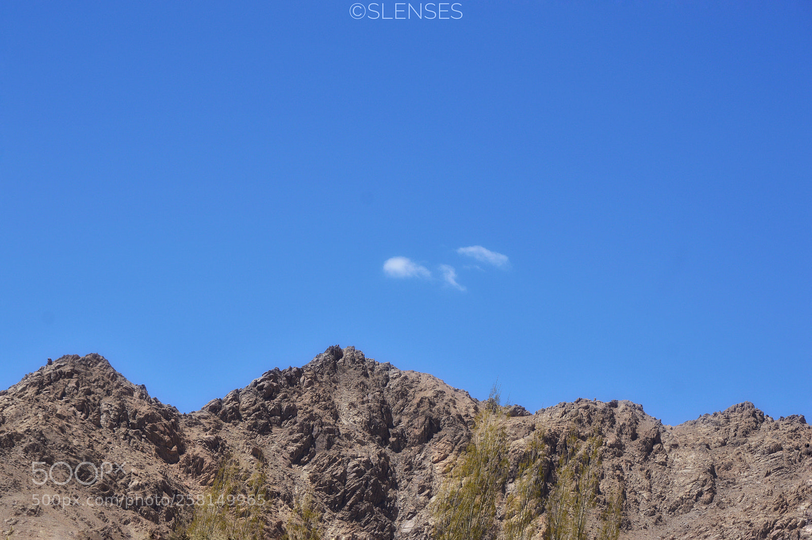Nikon D3200 sample photo. #upinsmoke photography