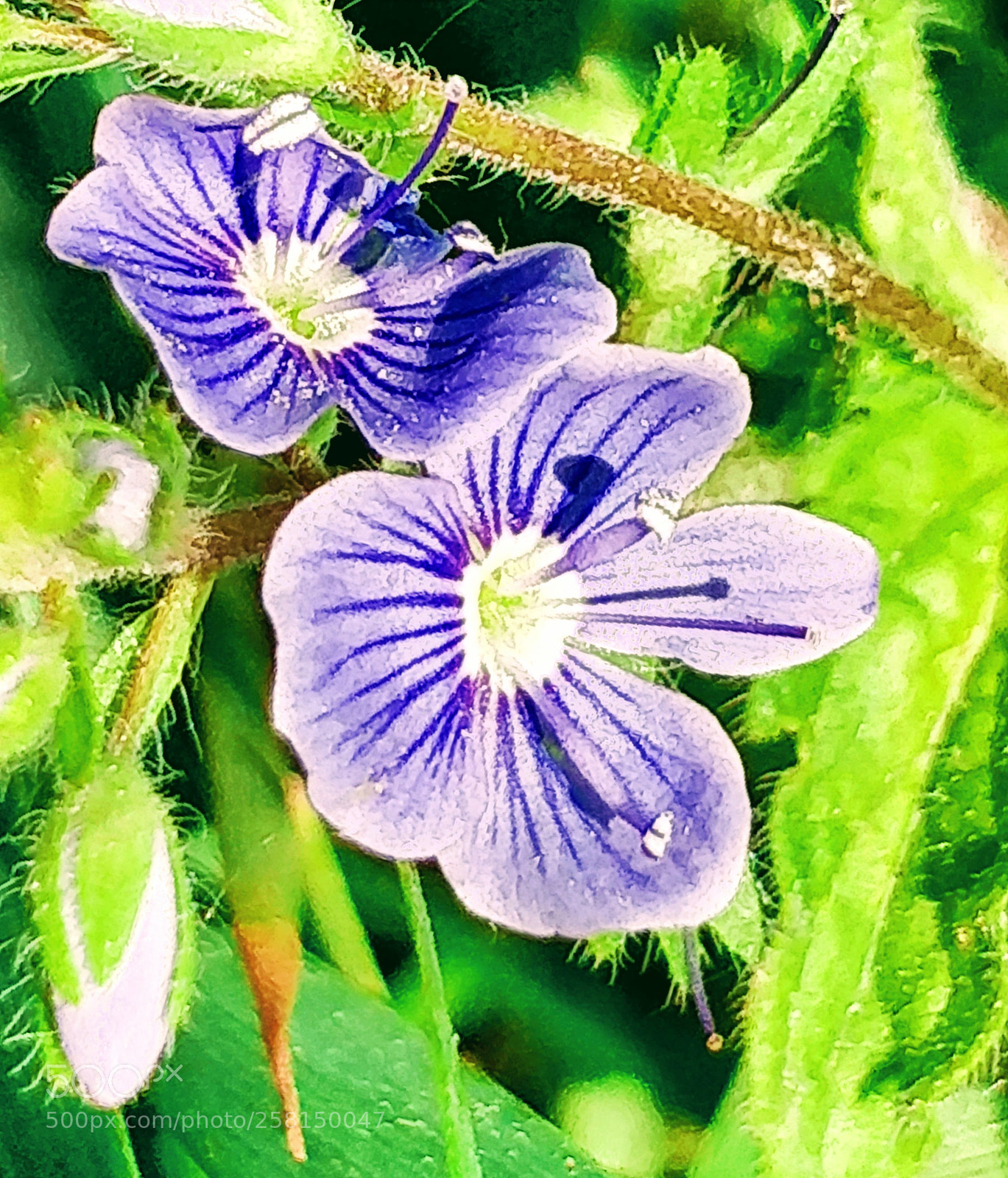 OnePlus 5 sample photo. Untitled photography