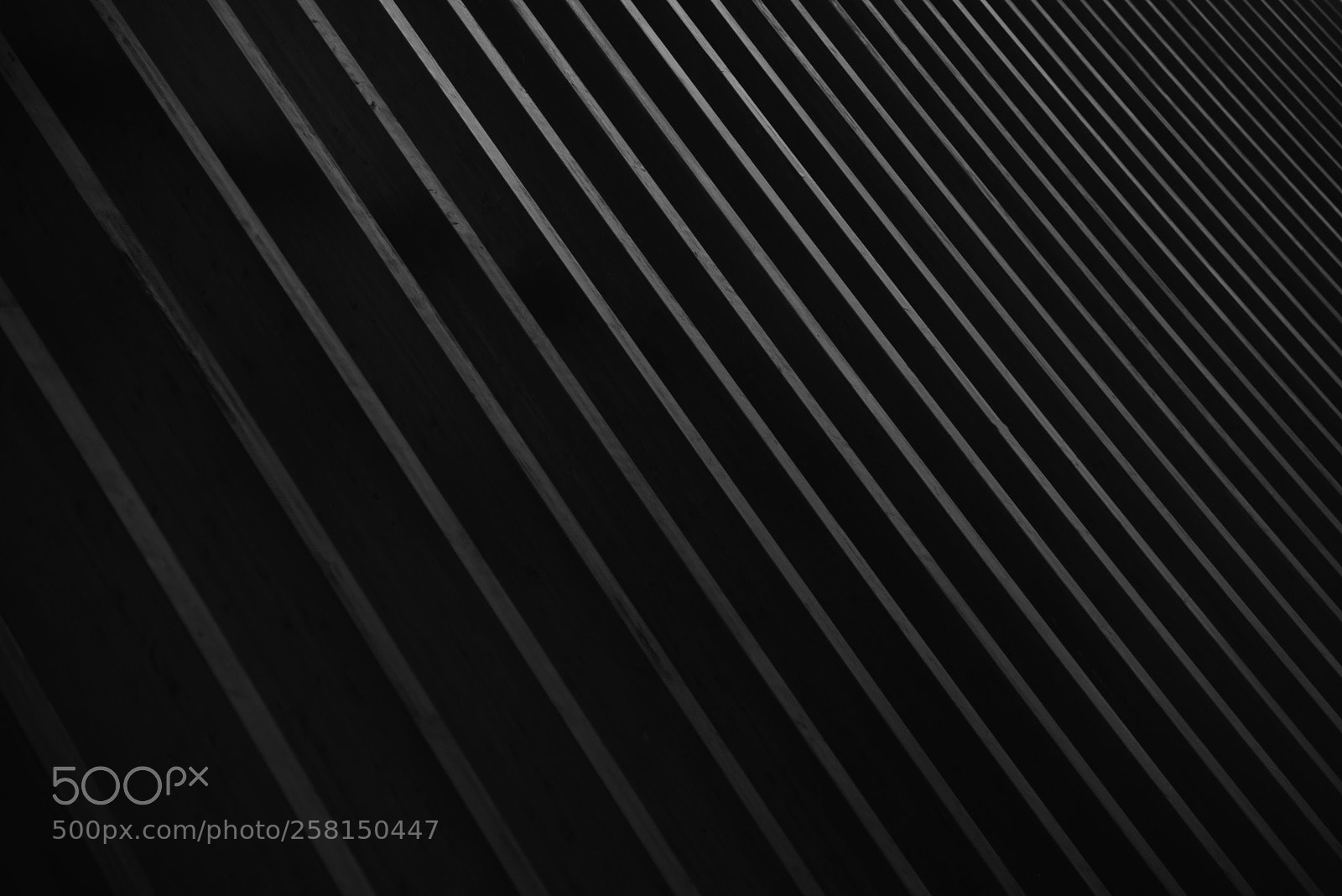 Nikon D750 sample photo. Abstrct photography