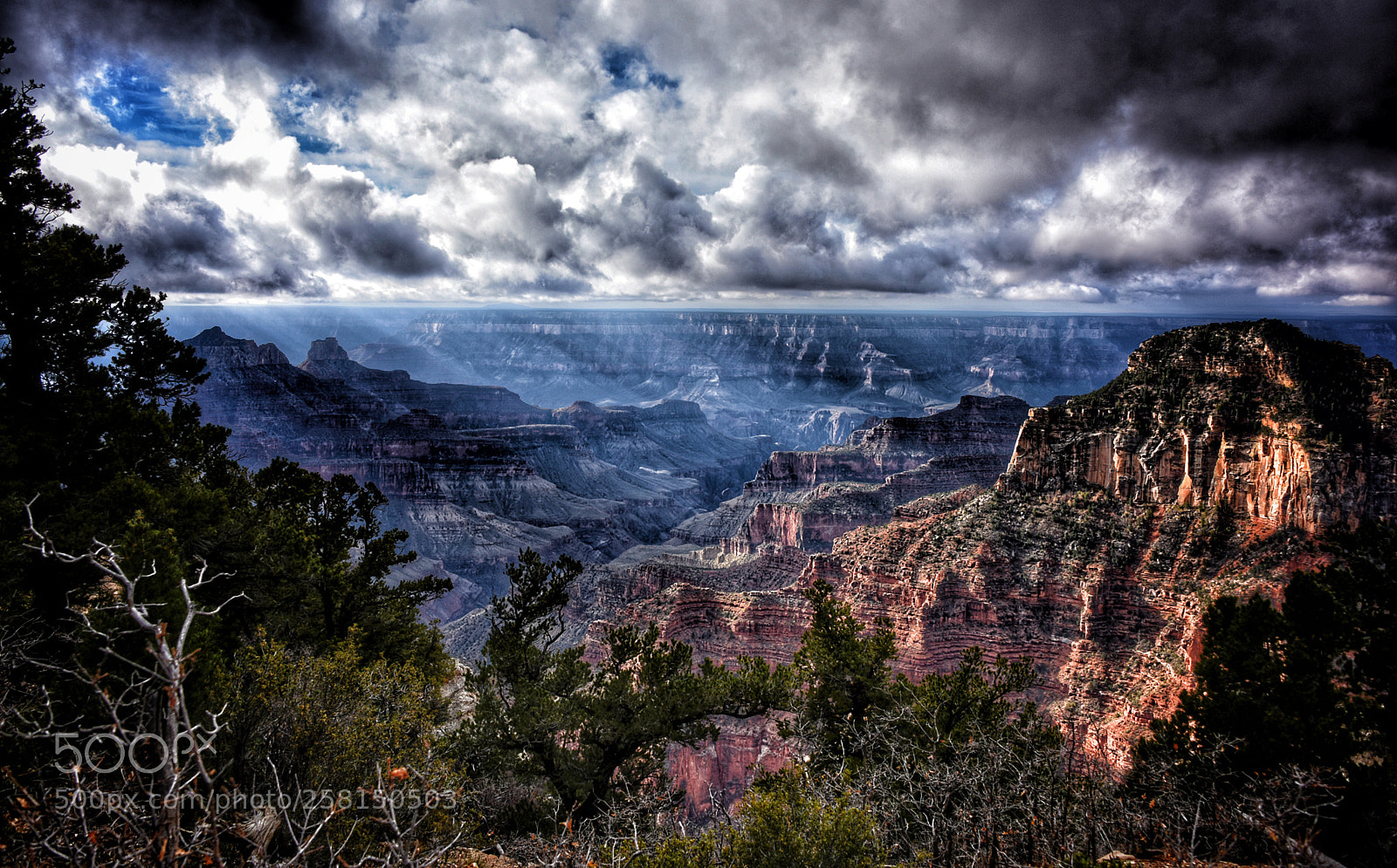 Nikon D810 sample photo. North rim, october photography