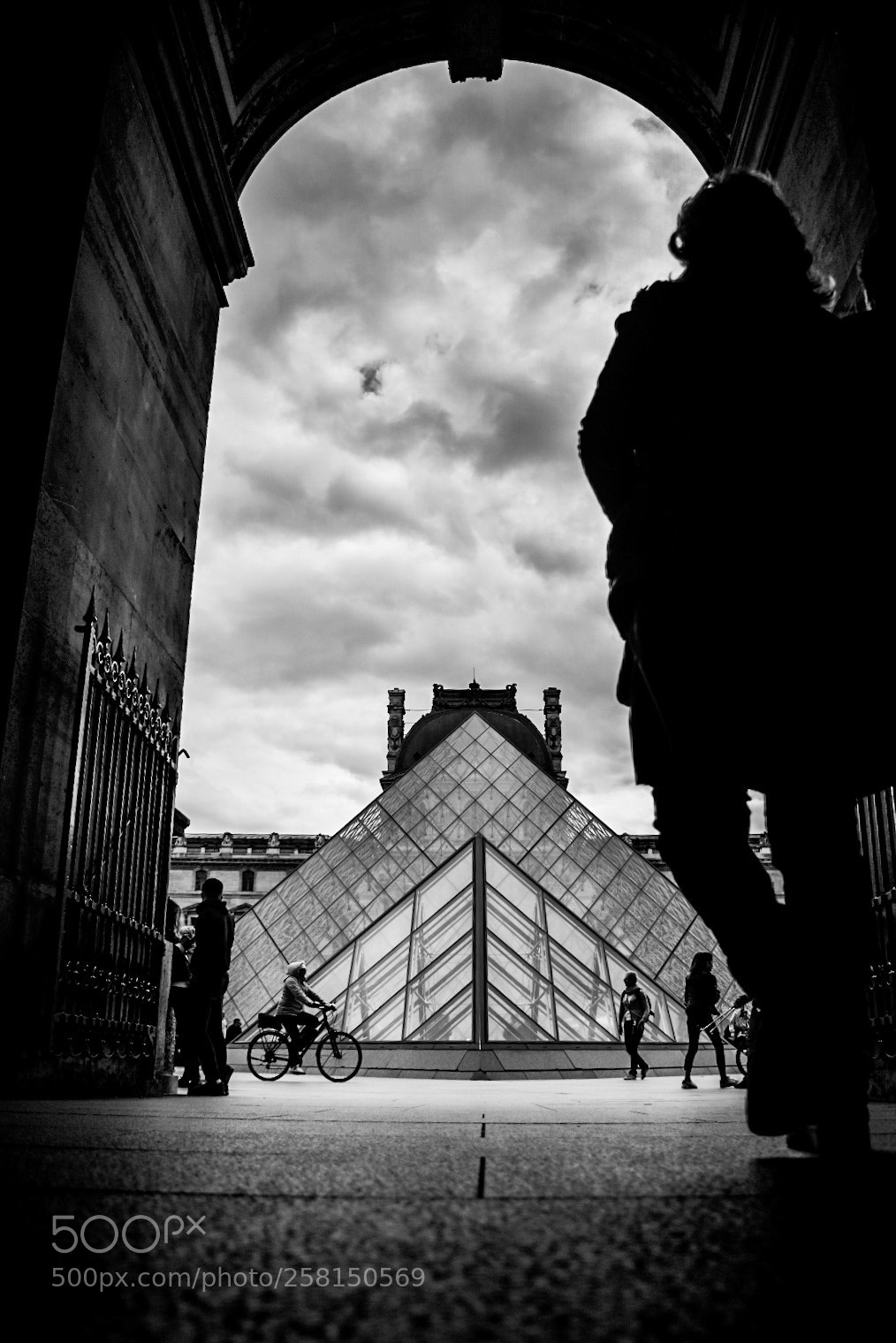 Nikon D5500 sample photo. Your own way. photography