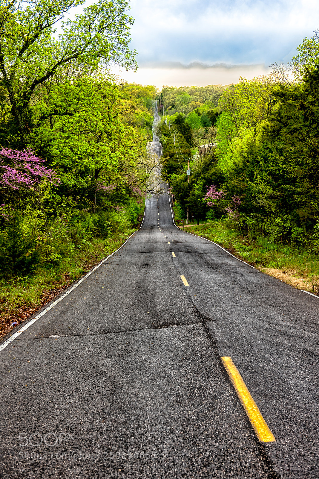 Nikon D810 sample photo. Explore photography