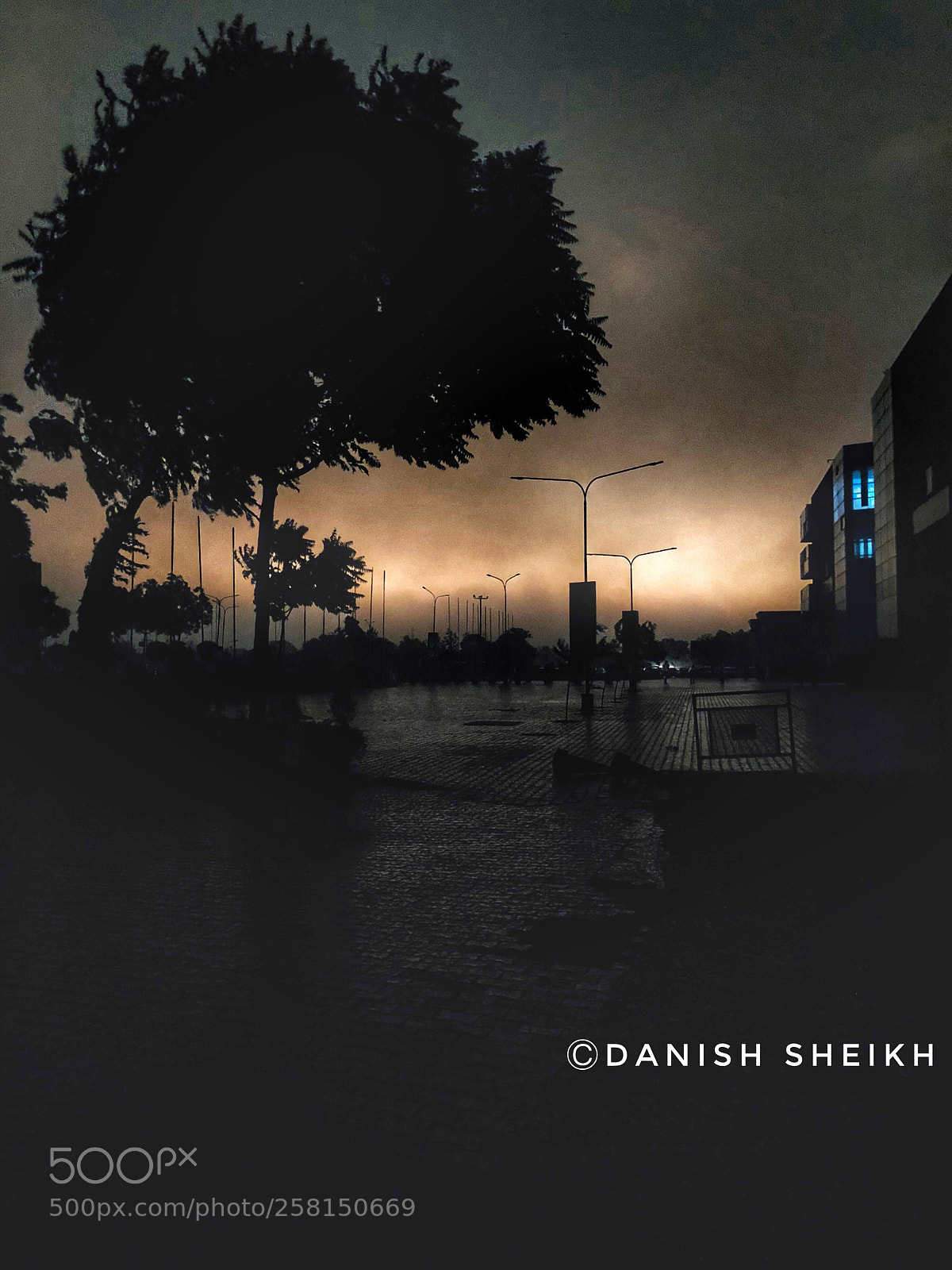 Apple iPhone X sample photo. Darkness is love photography