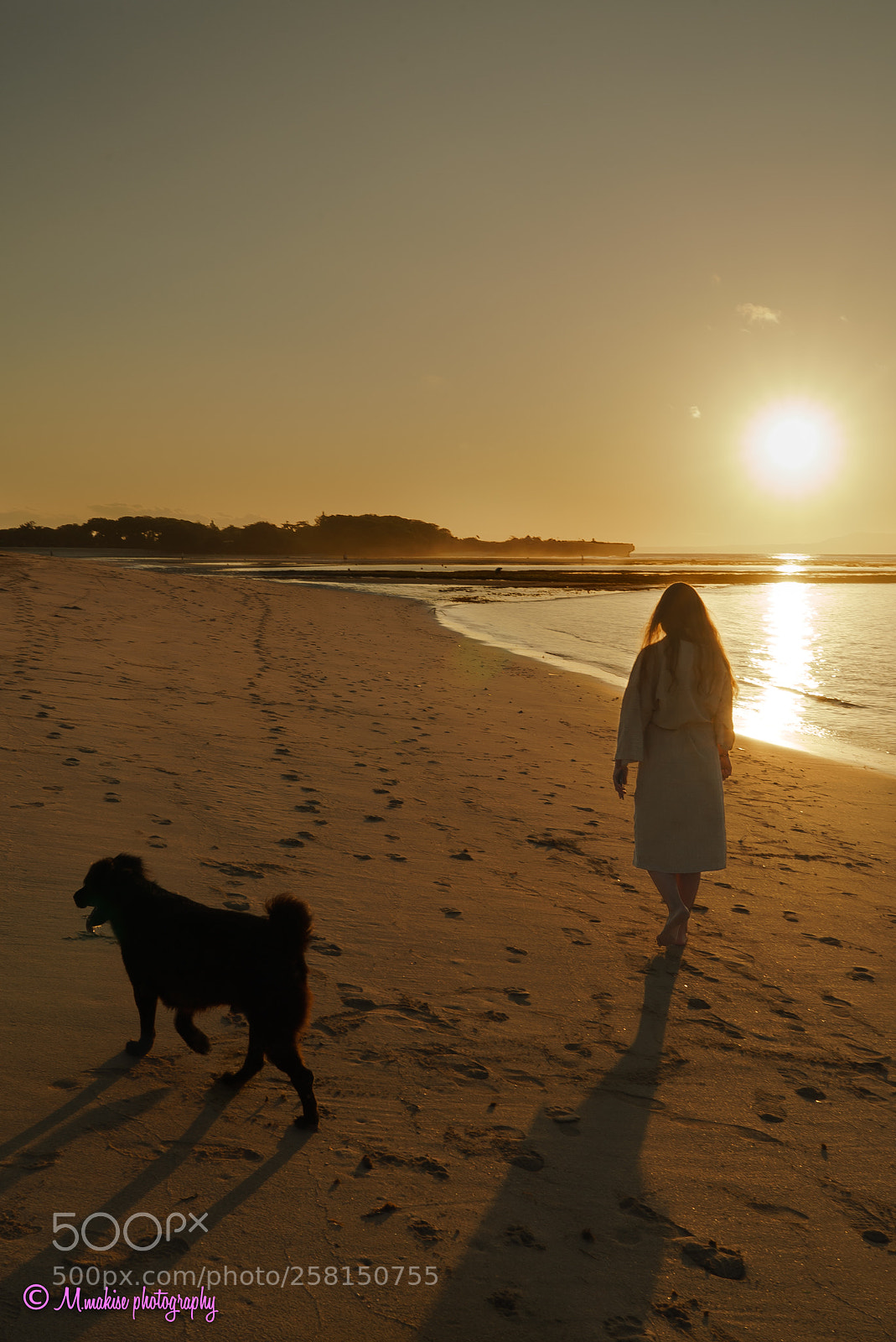 Sony a7S sample photo. Morning walk photography