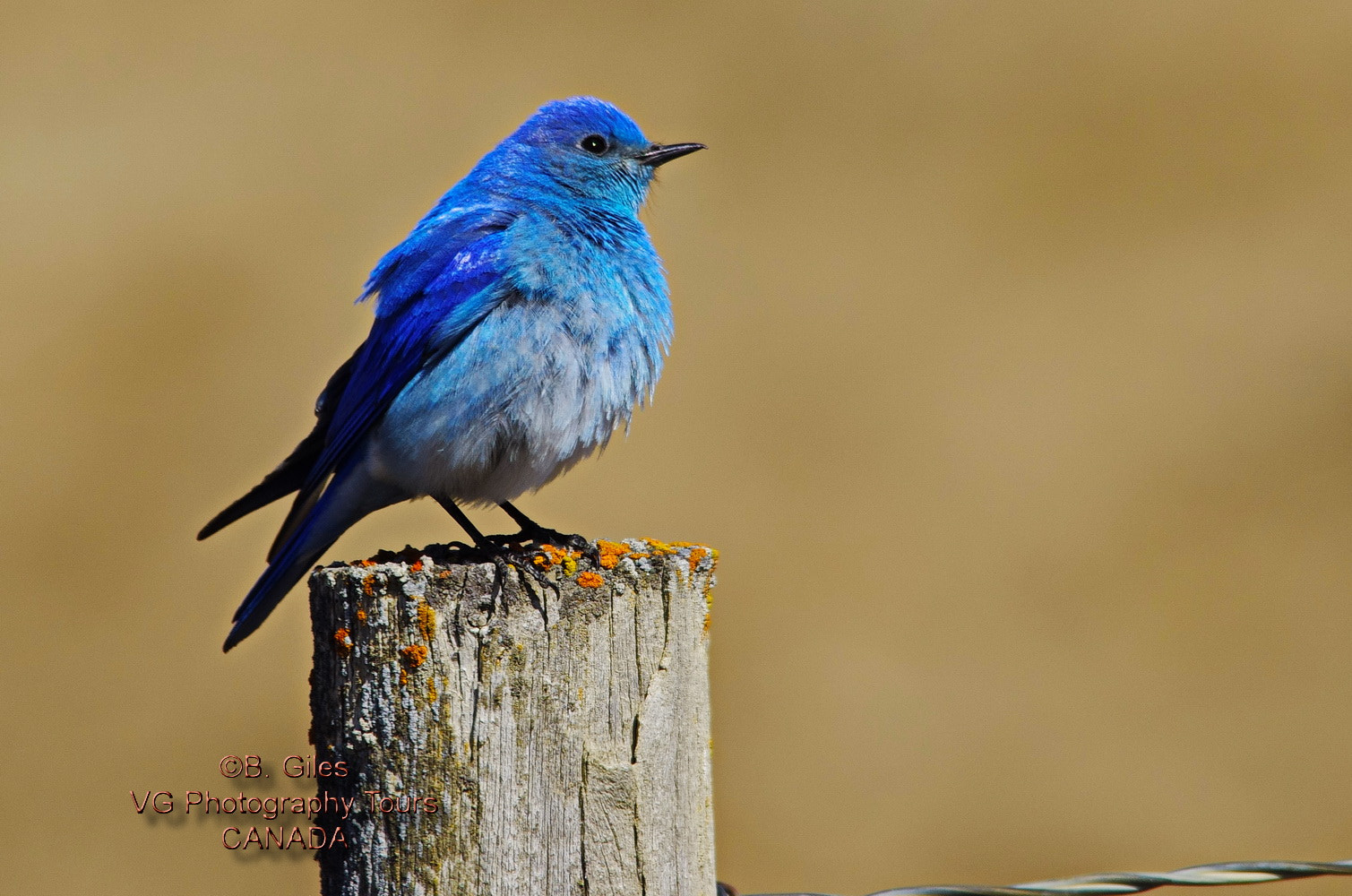 Pentax K-5 IIs sample photo. Mountain blue photography