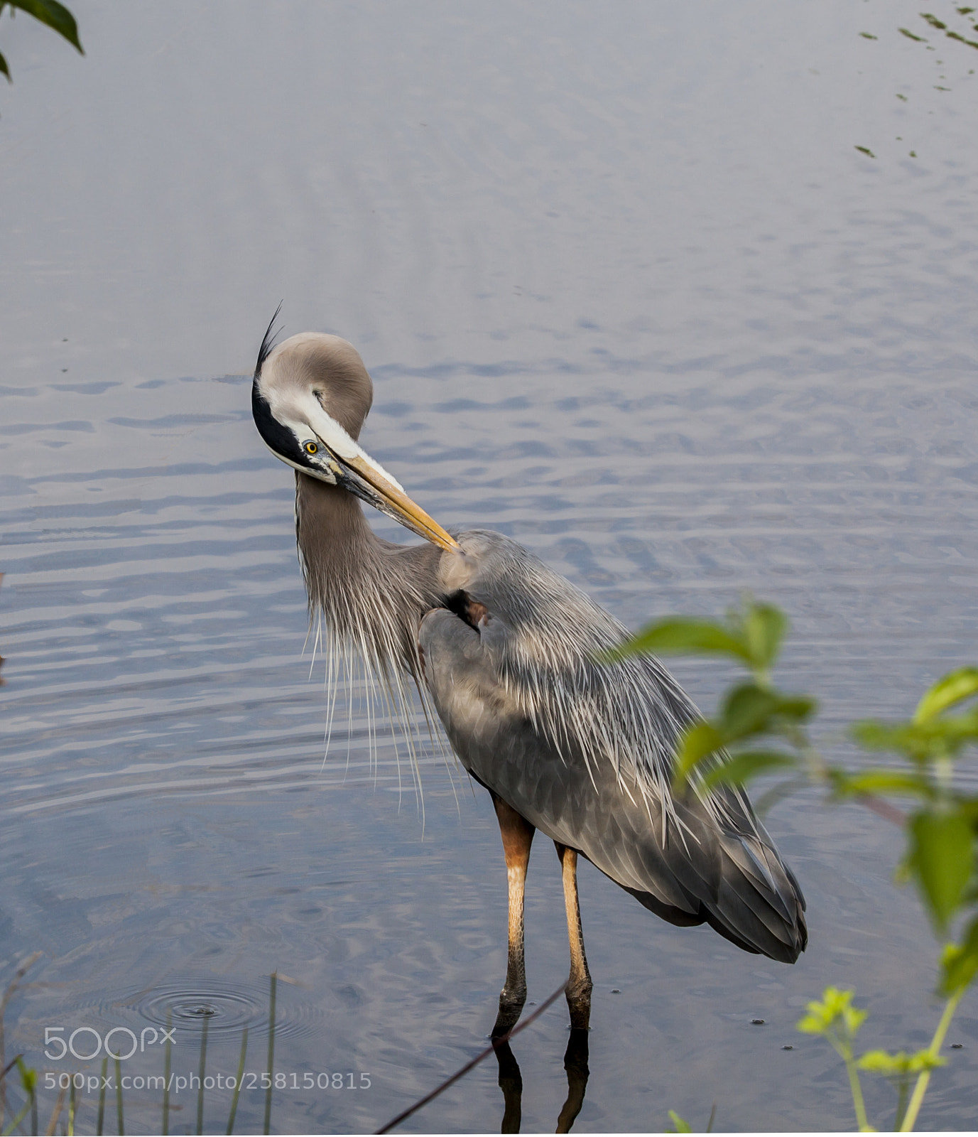 Canon EOS 5D Mark II sample photo. Natural photography