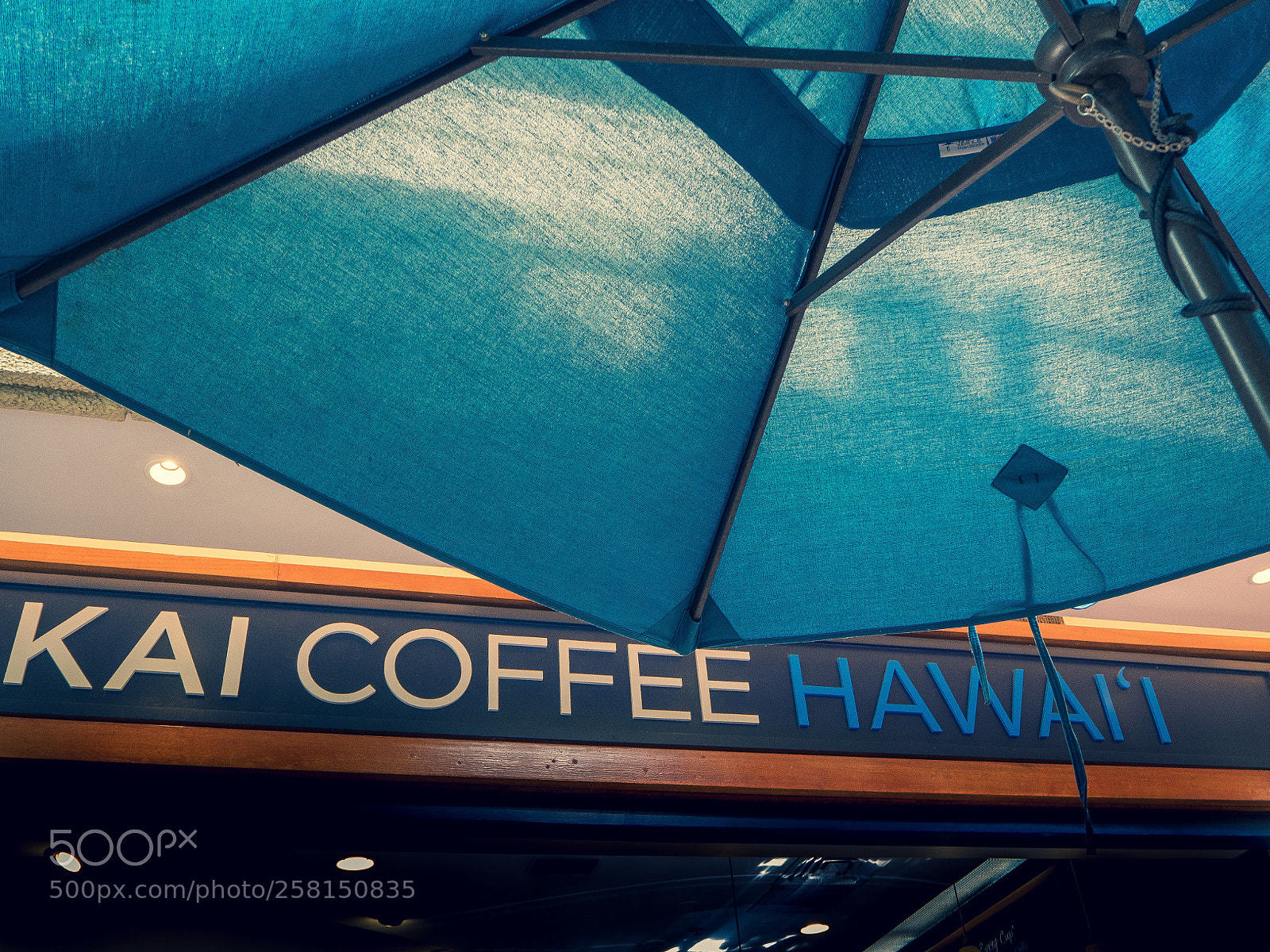 Olympus OM-D E-M10 sample photo. Kai coffee hawaii  photography
