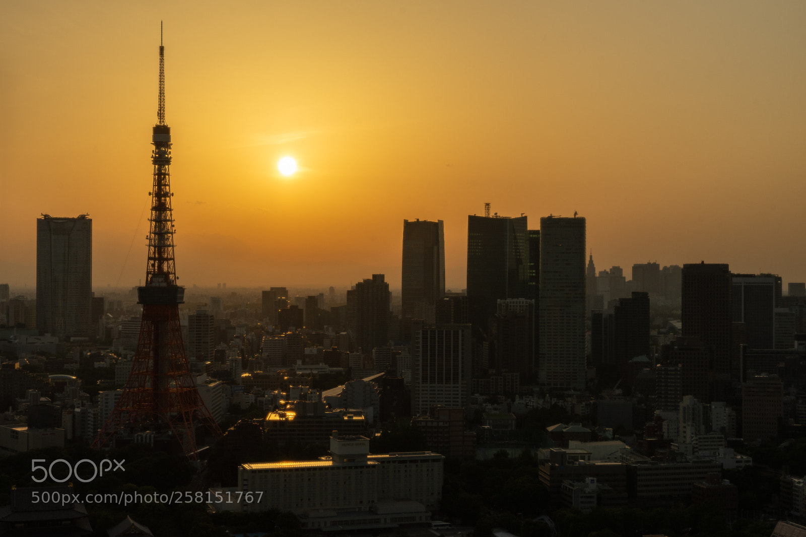 Sony a7 II sample photo. Tokyo tower photography