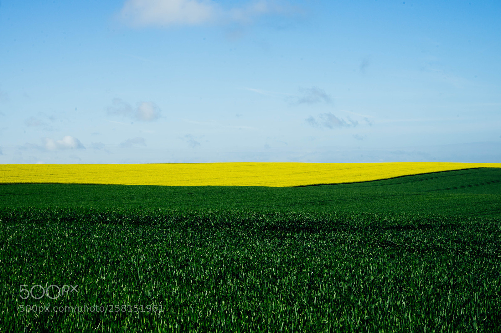 Sony a7 II sample photo. Dsc01621 photography