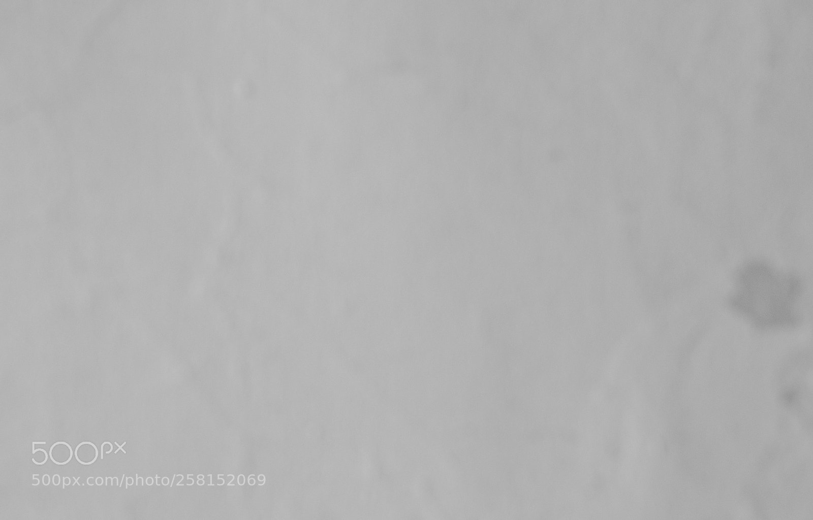 Nikon D750 sample photo. Blurry cracked concrete vintage photography
