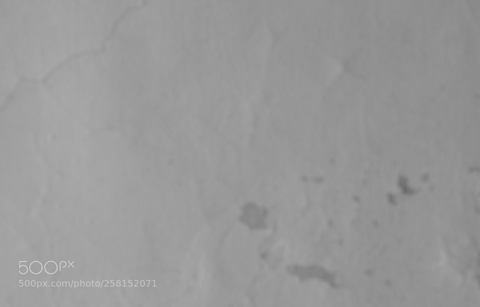 Nikon D750 sample photo. Cracked concrete vintage wall photography