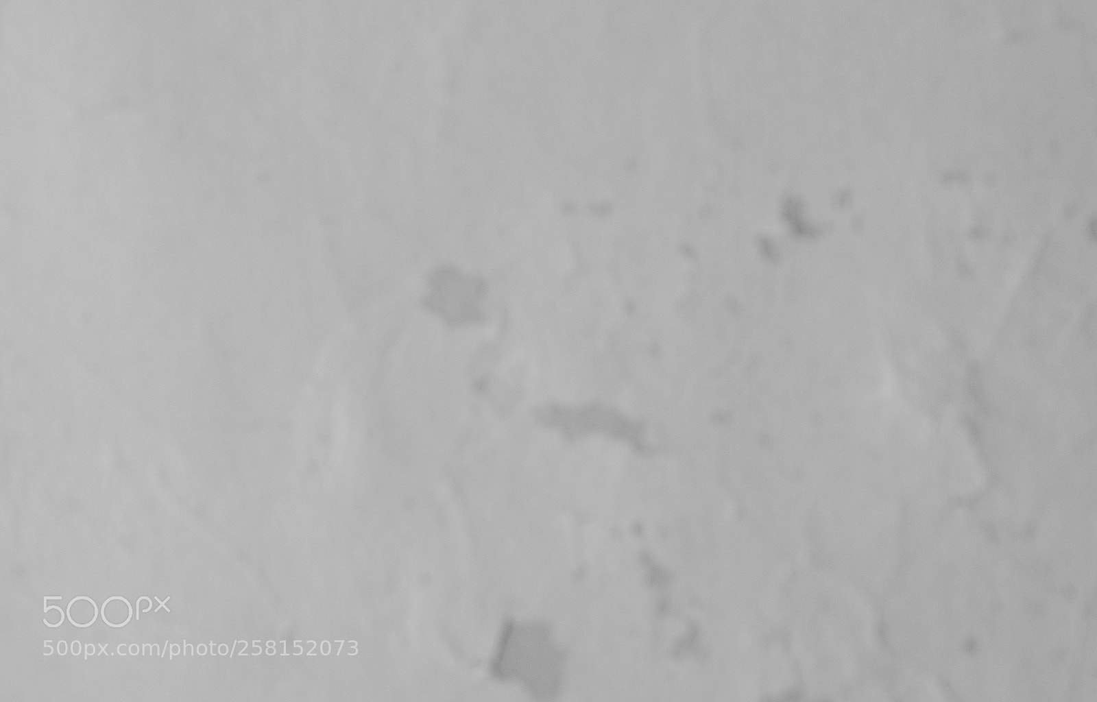 Nikon D750 sample photo. Blurry cracked concrete vintage photography