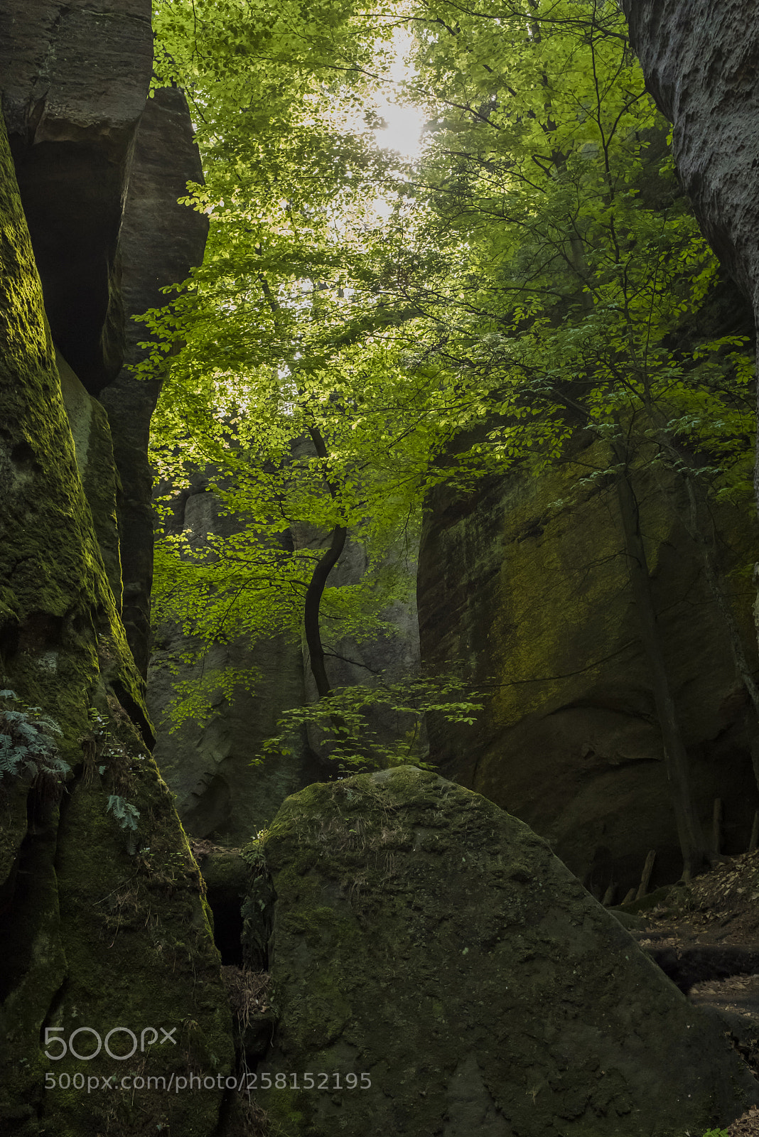 Fujifilm X100F sample photo. Bohemian paradise photography