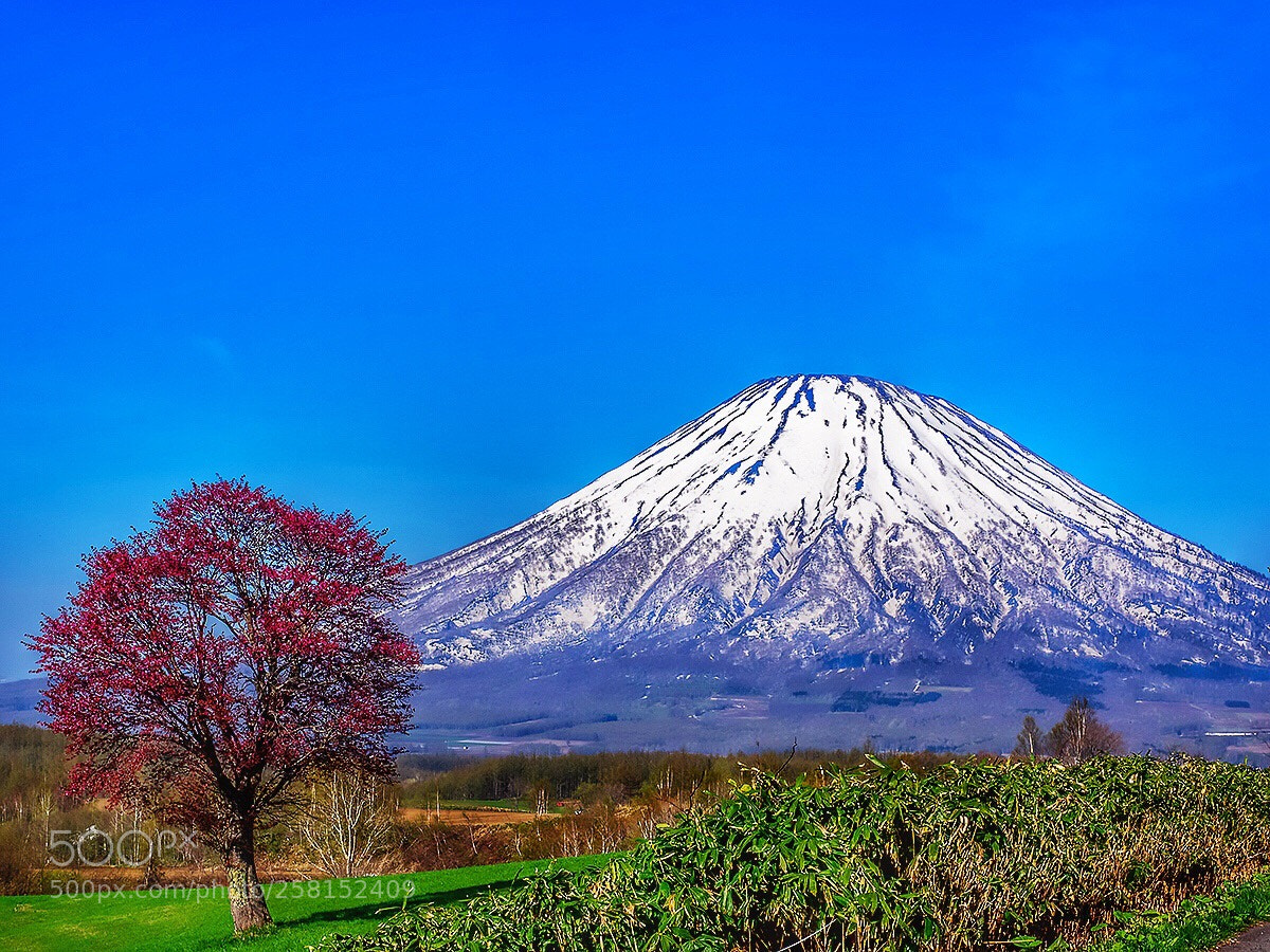 Olympus OM-D E-M1 sample photo. Mount yotei photography
