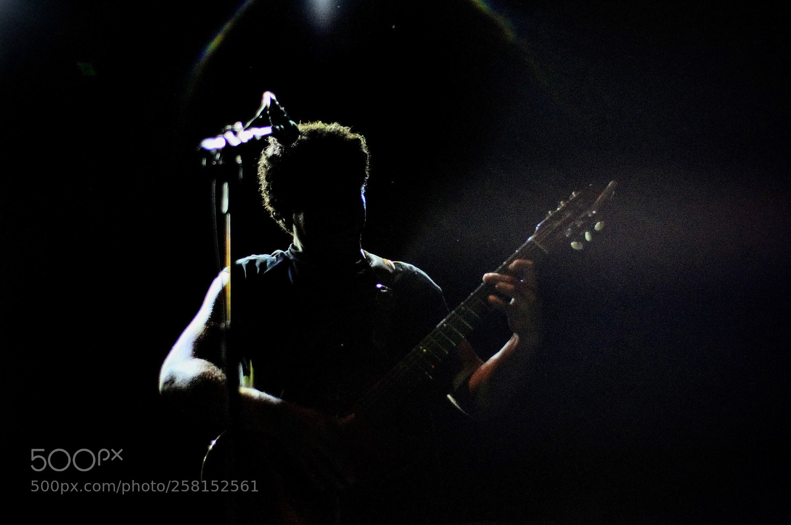 Nikon D5000 sample photo. Untitled photography