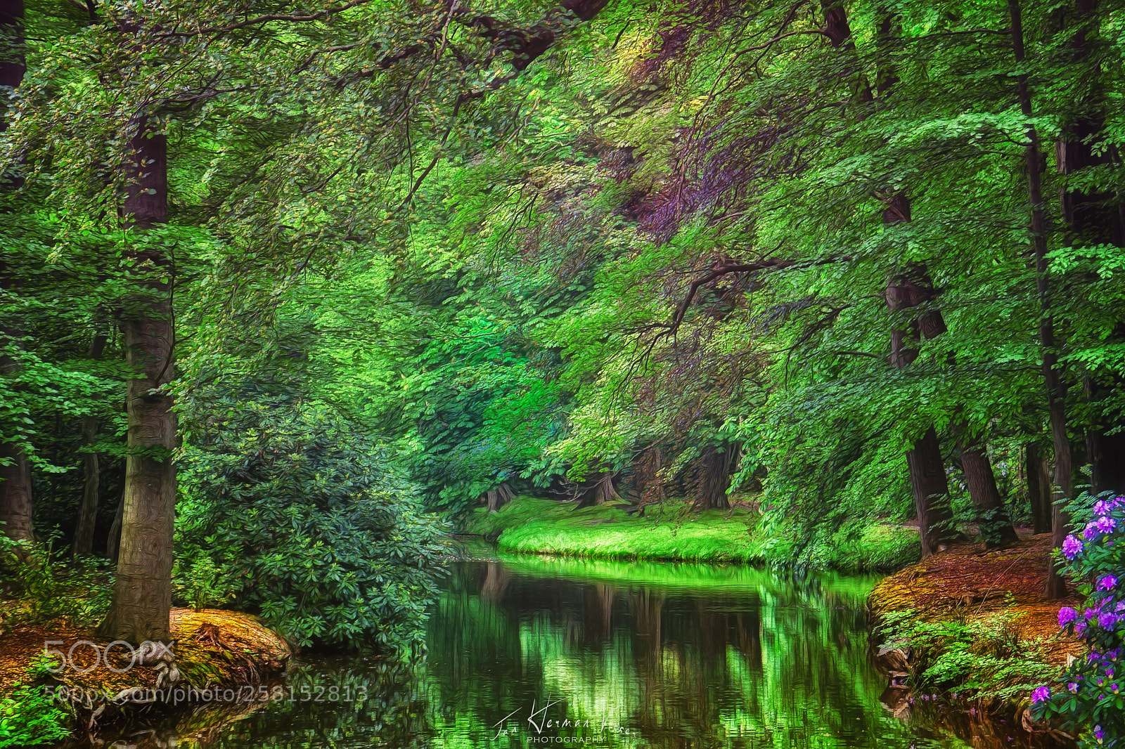 Sony a6000 sample photo. Garden of eden photography