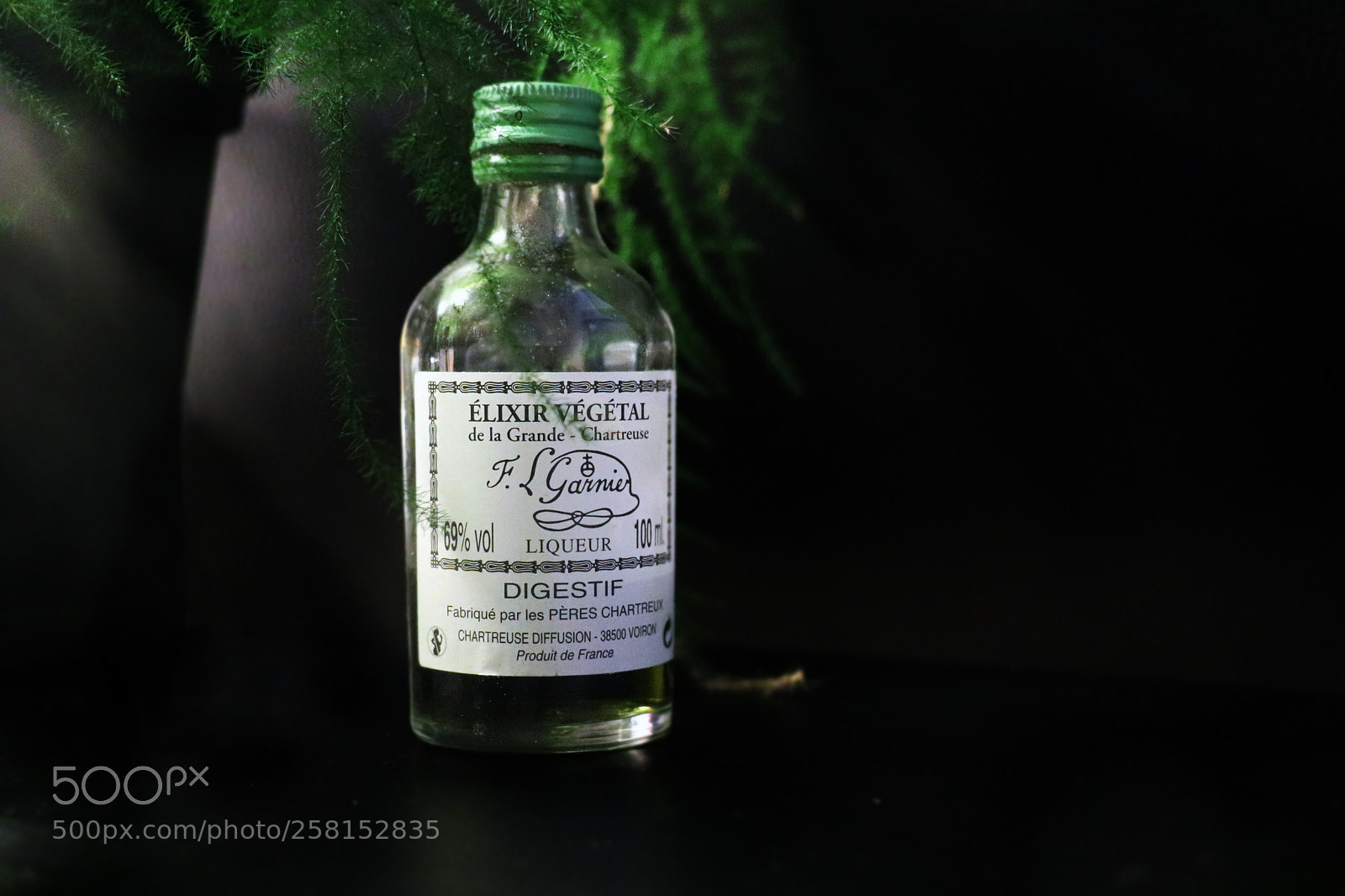 Canon EOS 750D (EOS Rebel T6i / EOS Kiss X8i) sample photo. Lixir v g tal photography