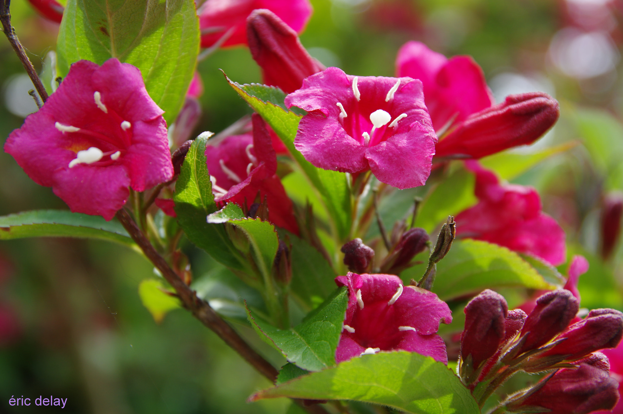 Pentax K-3 sample photo. Que de rouge ! photography