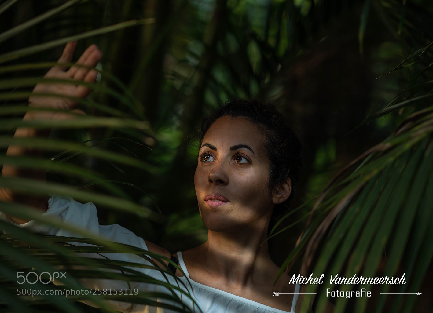 Sony a7R III sample photo. Jungle photography