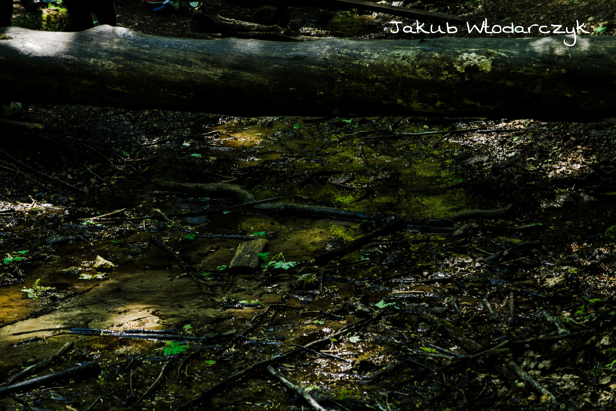 Sony Alpha a3000 sample photo