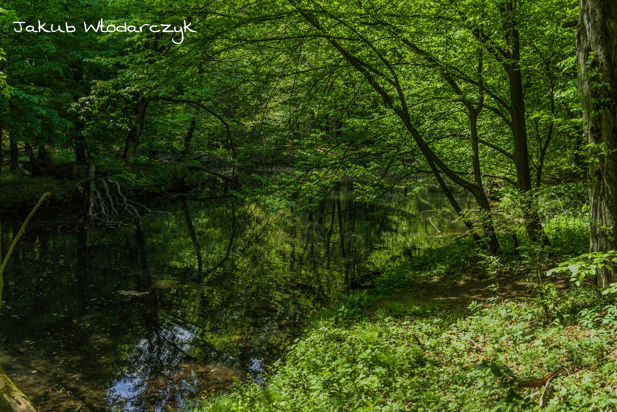 Sony Alpha a3000 sample photo
