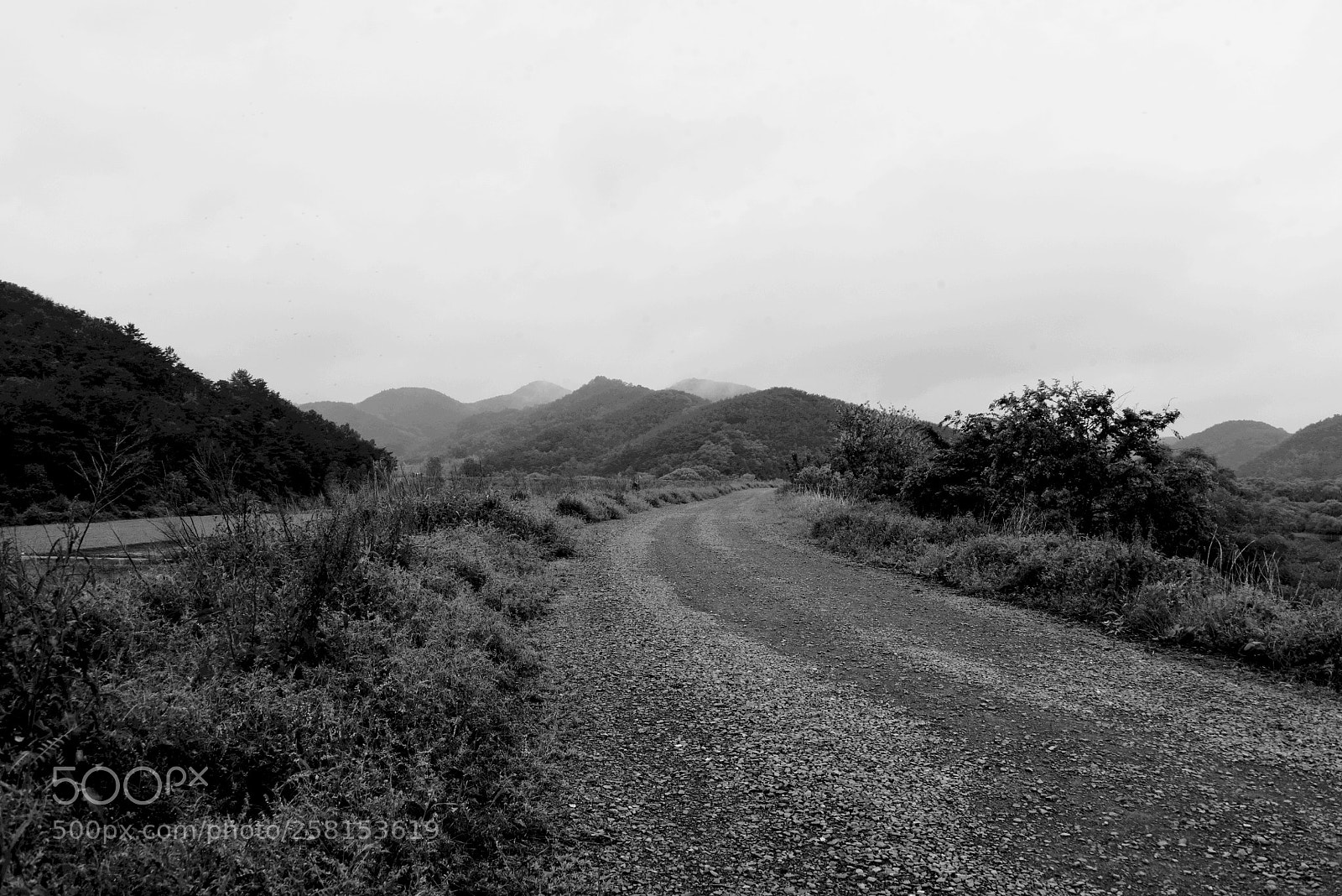 Nikon D750 sample photo. * i'm alone ( i ) photography