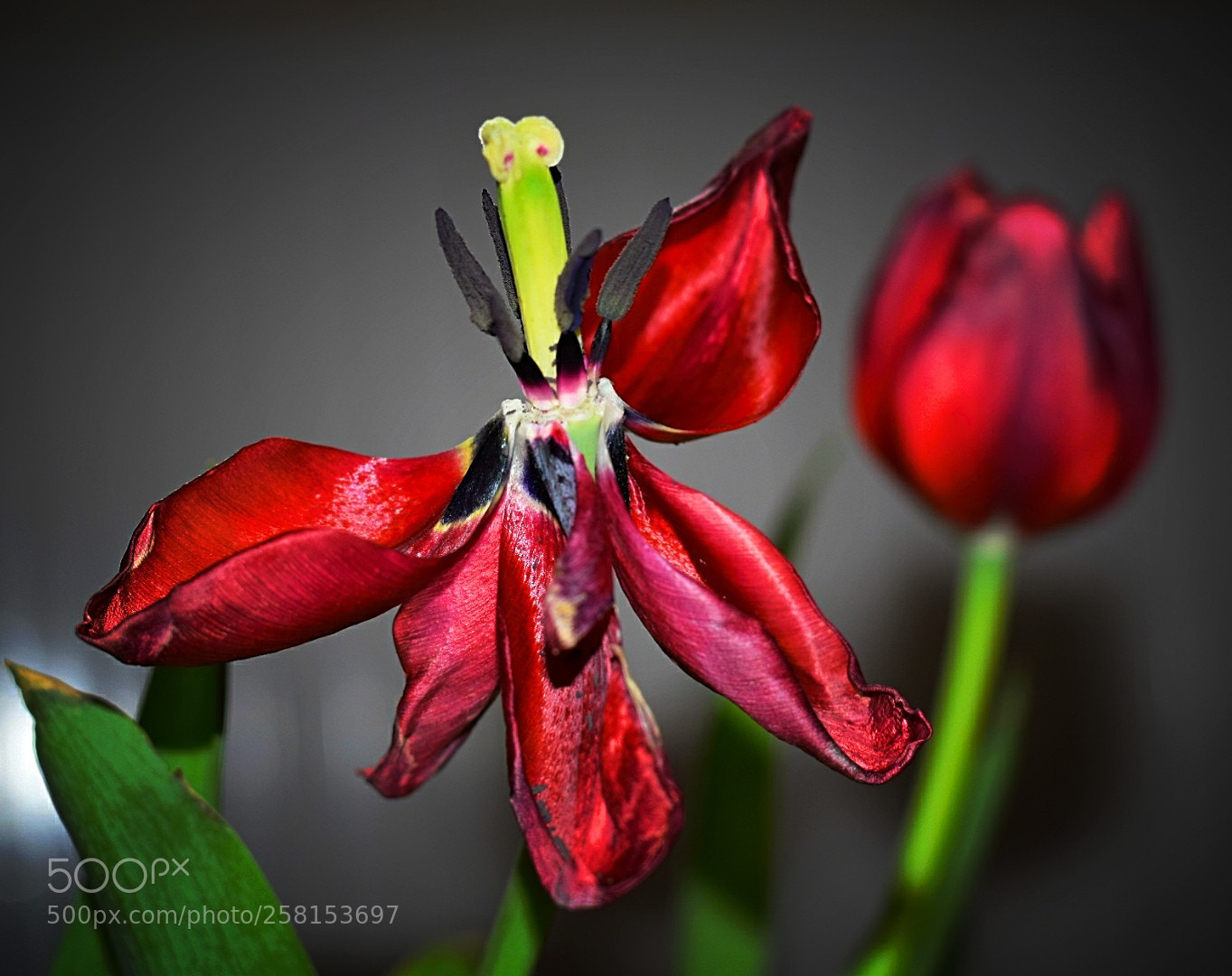 Nikon D5300 sample photo. Vor ein paar tagen photography