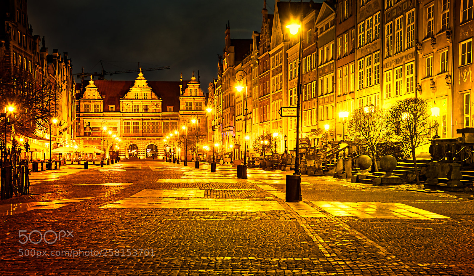 Nikon D750 sample photo. Golden gdańsk photography