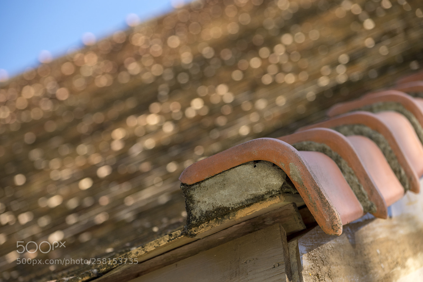 Pentax K-1 sample photo. Aaa photography