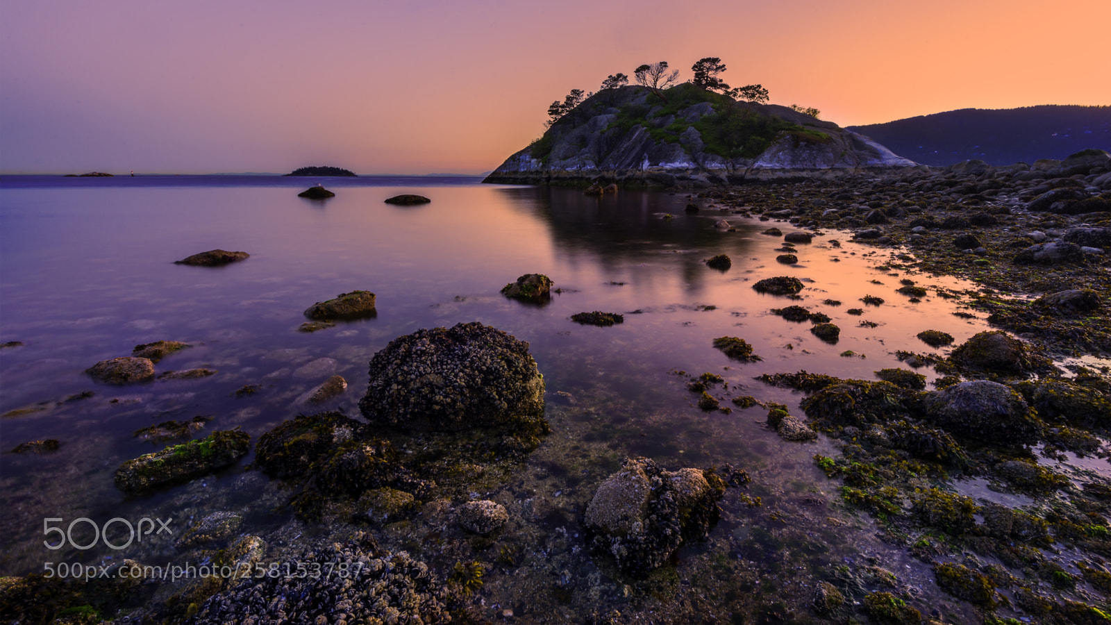 Nikon D610 sample photo. Low tide photography