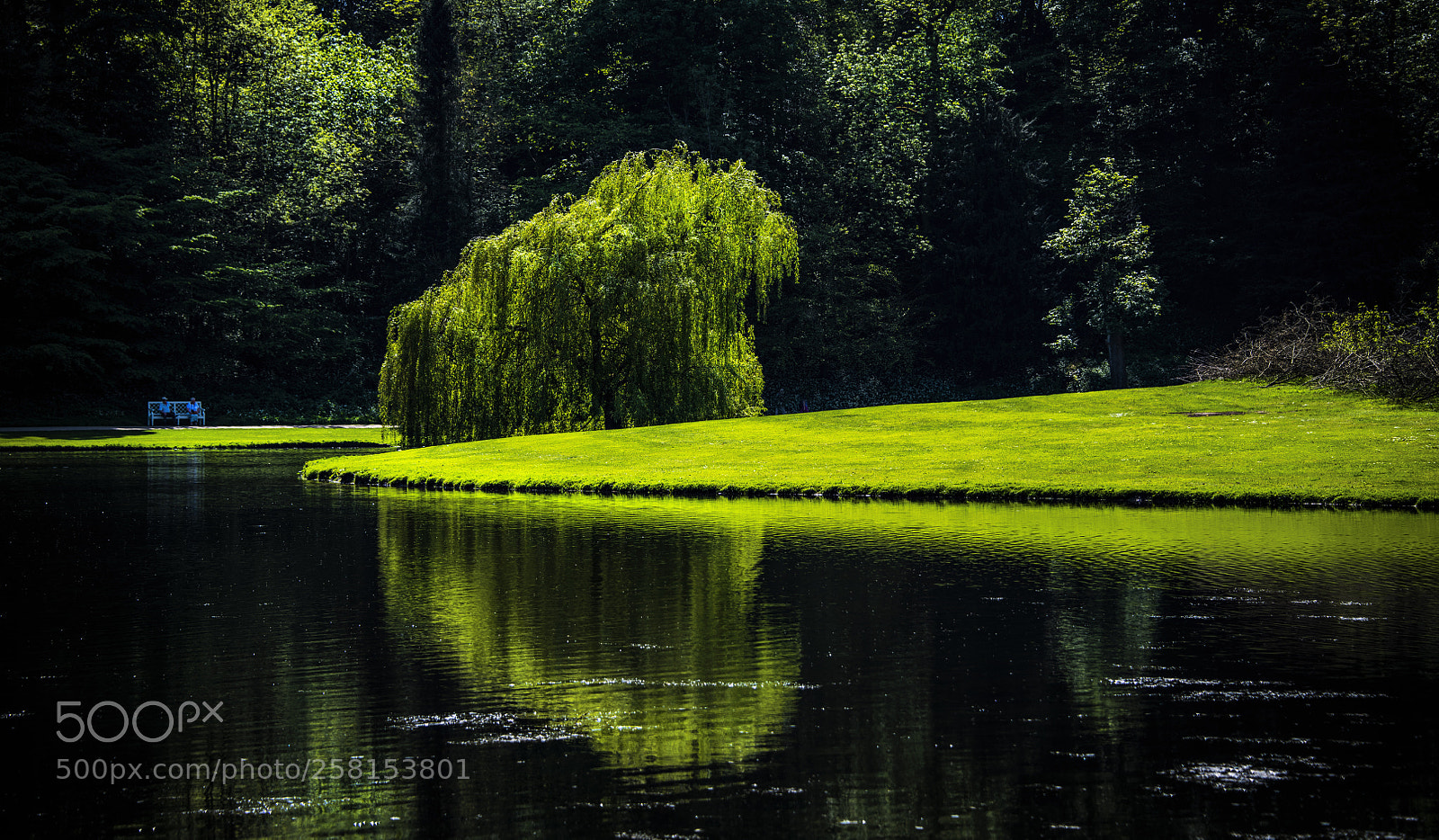 Nikon D850 sample photo. Lakeside photography