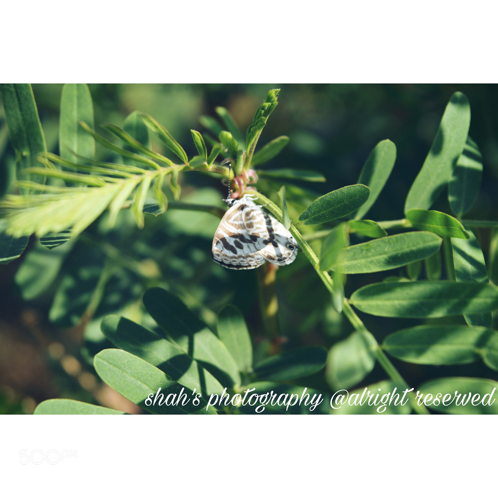Nikon D3200 sample photo. Perfect click photography