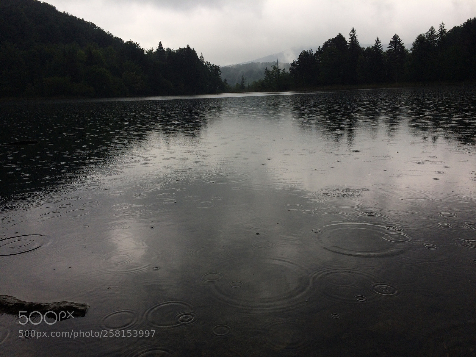 Apple iPhone 5s sample photo. Rainy day in plitvice photography