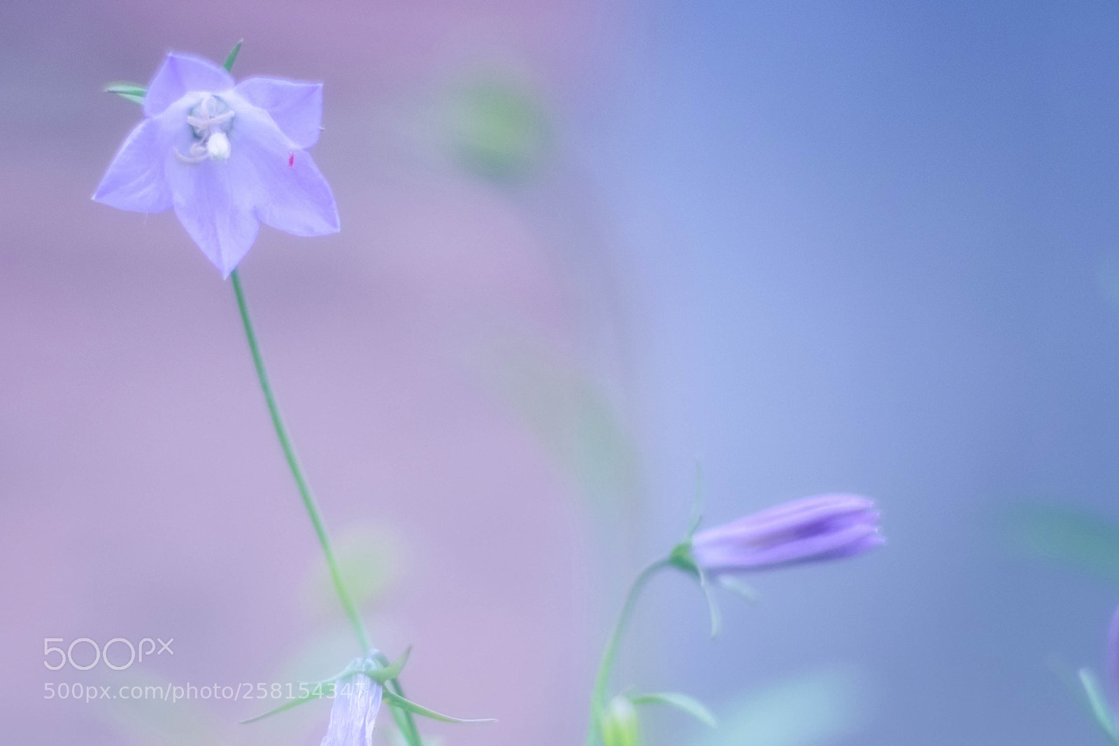 Fujifilm X-T10 sample photo. ... photography