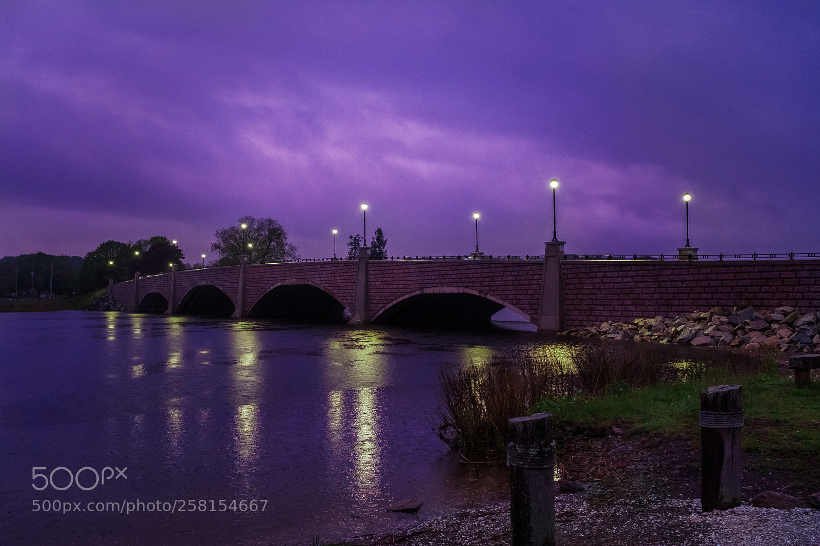 Fujifilm X-Pro2 sample photo. Purple rain photography