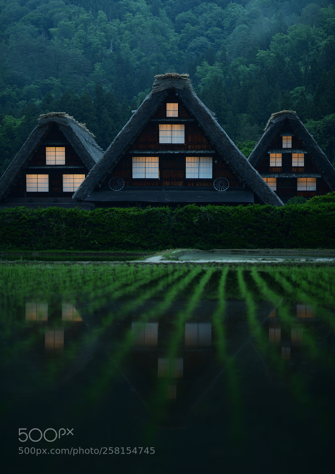 Nikon D850 sample photo. 行間 photography