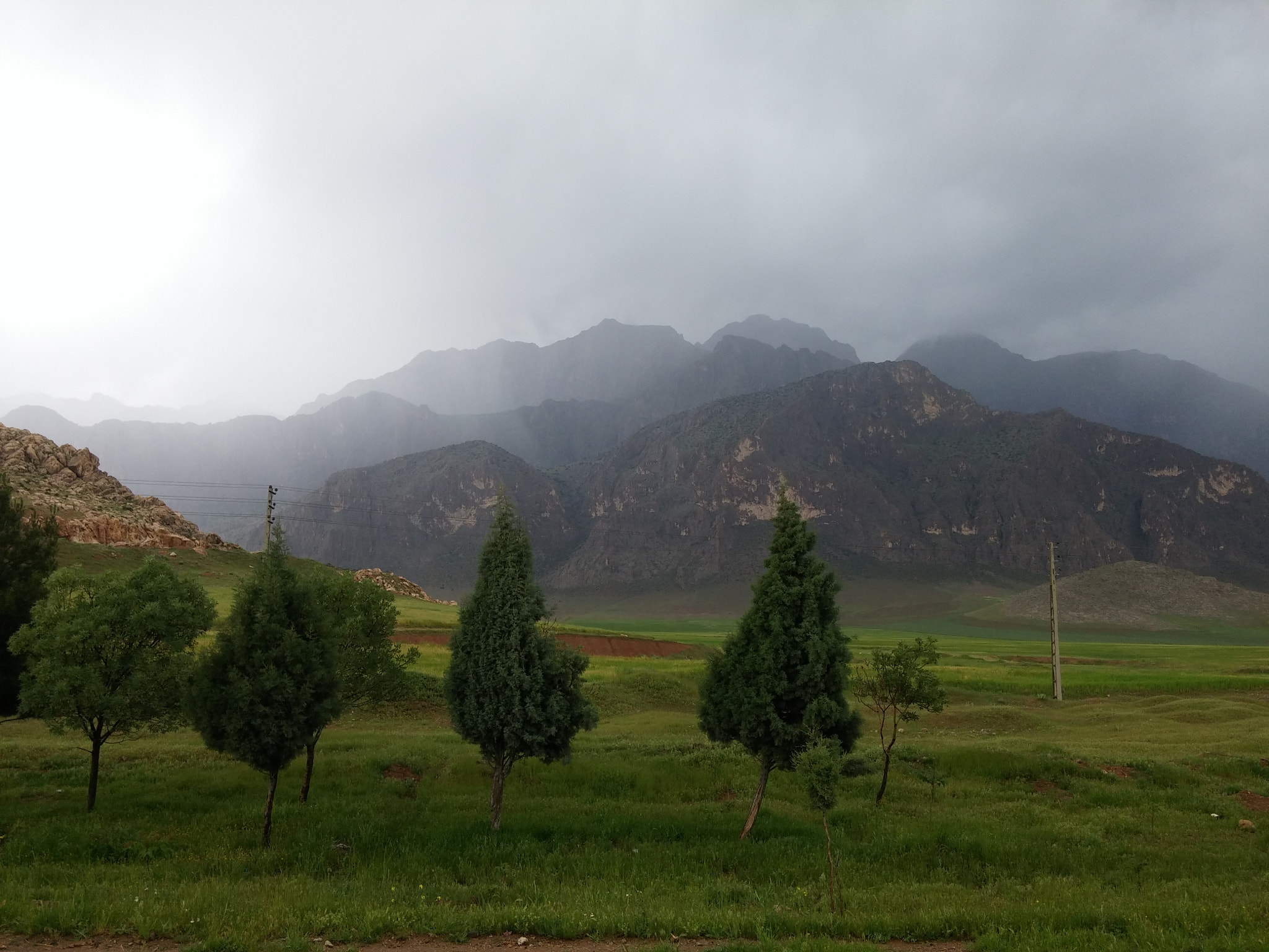 LG G3 sample photo
