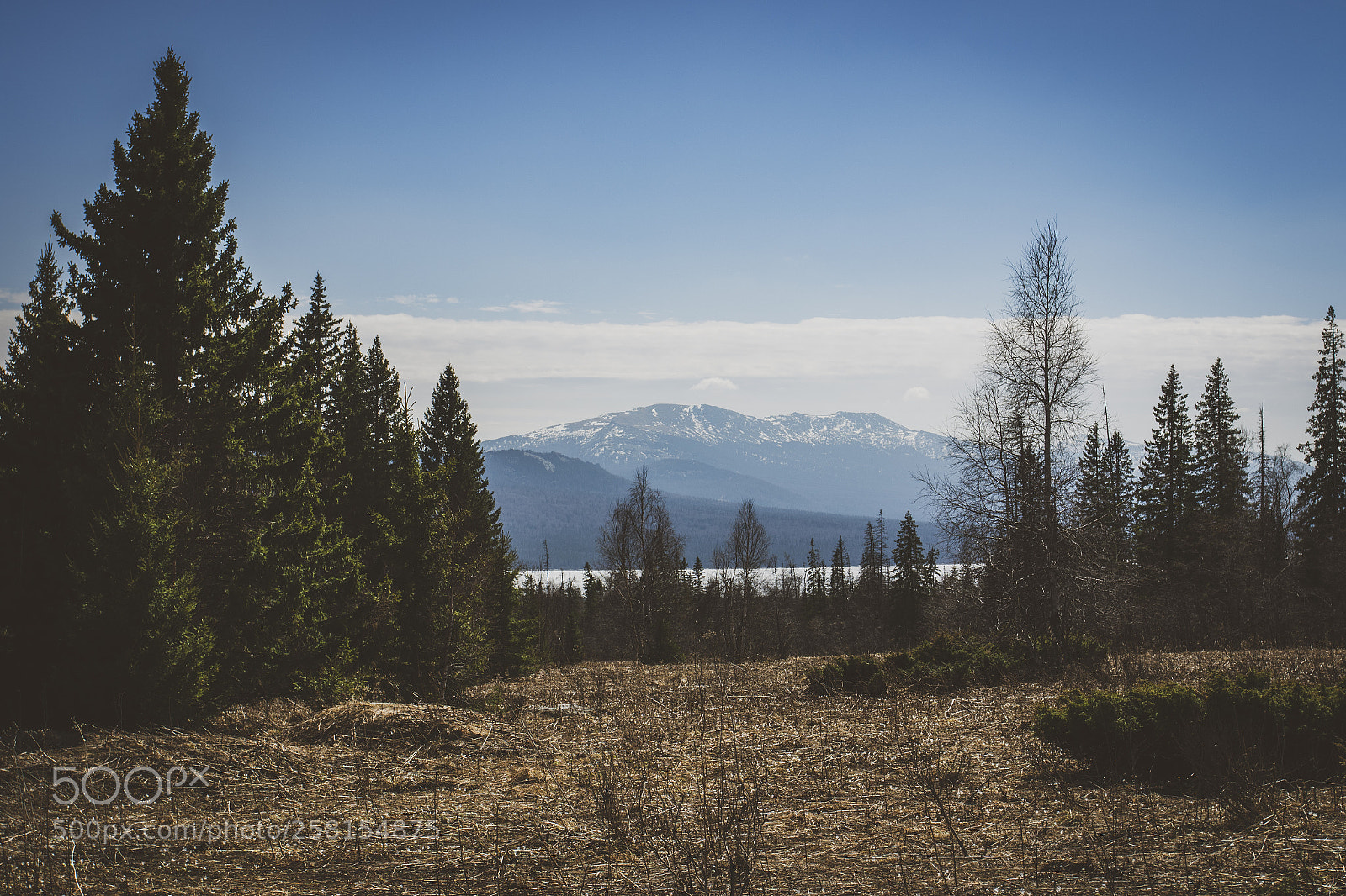 Canon EOS 7D Mark II sample photo. Russia/chelyabinsk photography
