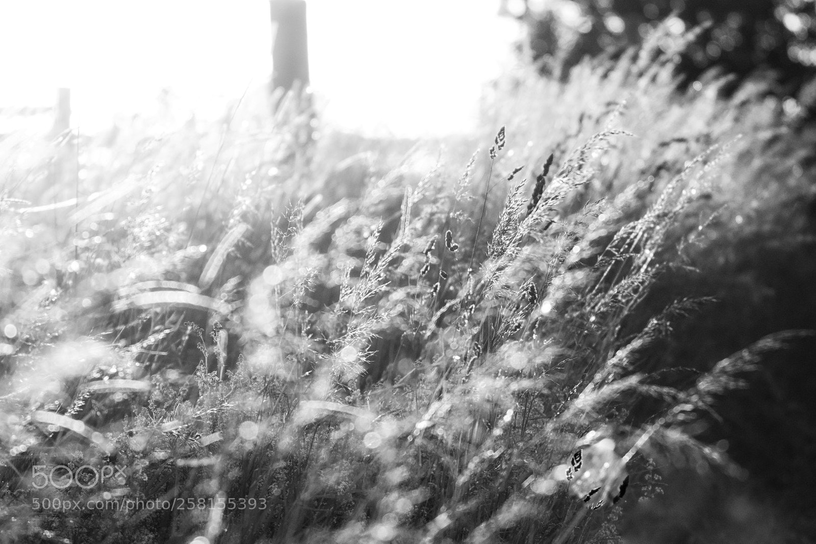 Canon EOS 7D Mark II sample photo. Landscape photography