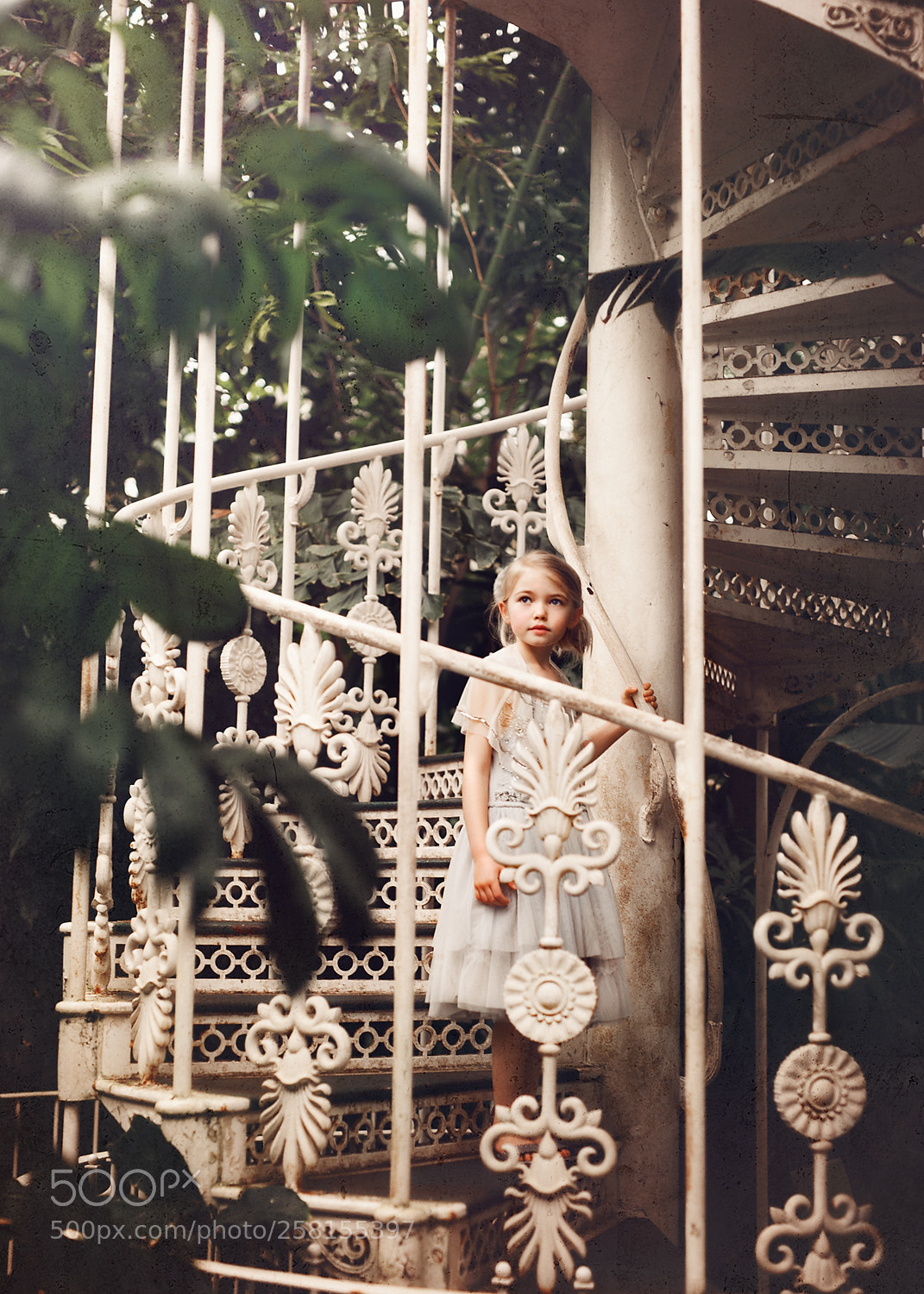 Nikon D700 sample photo. Magical garden photography
